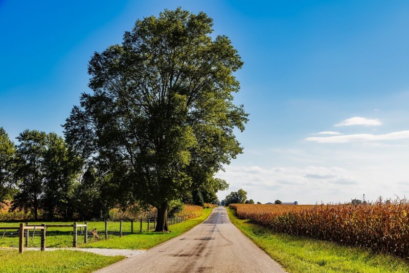 landscape in indiana