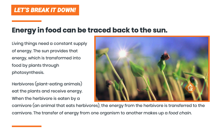 Sample informational text for students about food webs