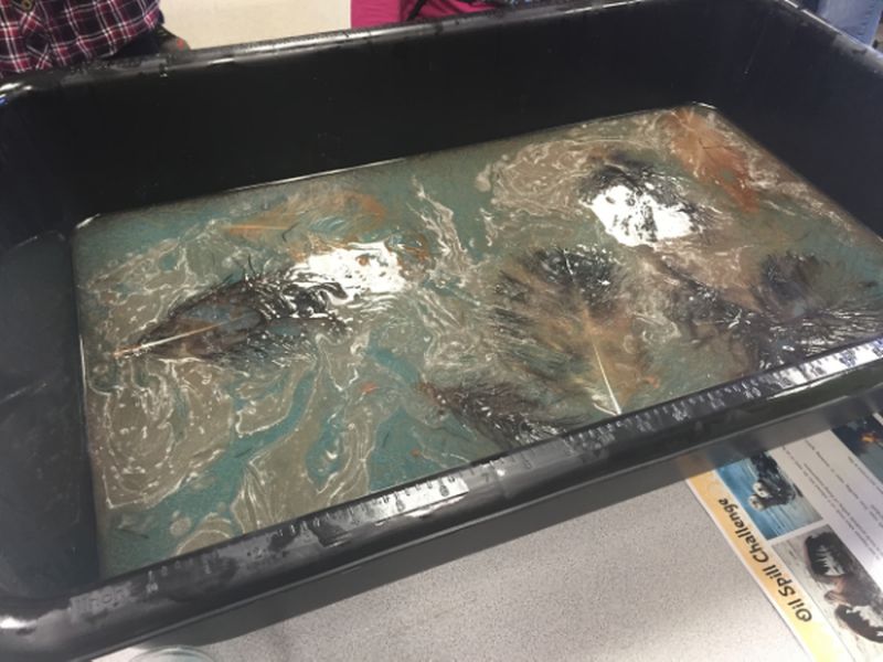 Bin filled with water and oil dyed with blue food coloring, part of a STEM challenge about oil spill cleanup