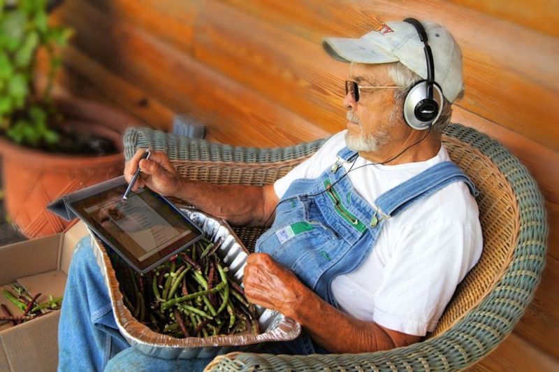 Old man in overalls using an iPad while snapping green beans