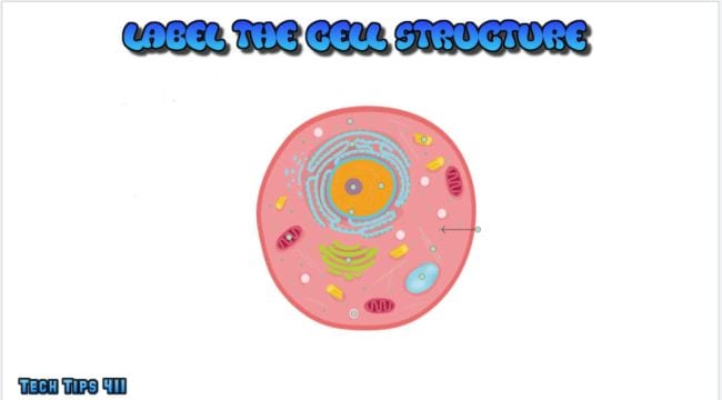 رسم كاريكاتوري لخلية بيولوجية