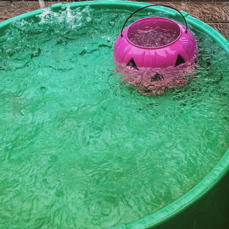 A pink Halloween bucket submerged in a green kid's pool as it fills with rain water