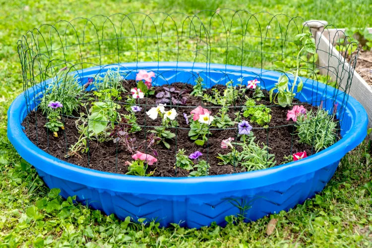 A garden is planted inside a blue kiddie pool.