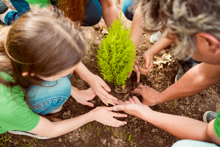 kids planting a tree- recycling activities