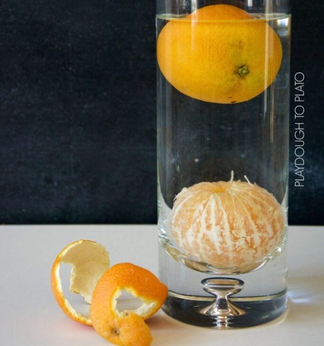 Tall glass vase of water with unpeeled orange floating and peeled orange sunk at the bottom