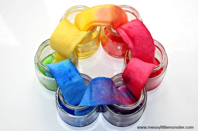 Jars of colored water in a circle, with paper towels running from one to the next