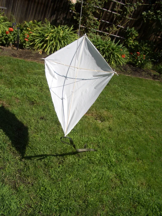Homemade kite