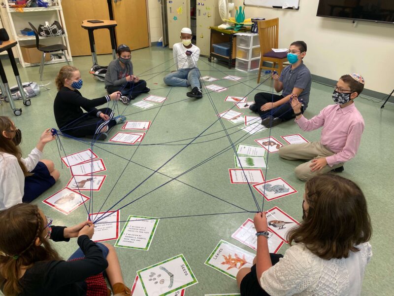 Students sit on the floor in front of papers with different plants and animals on them. There is yarn woven around them to form a web.