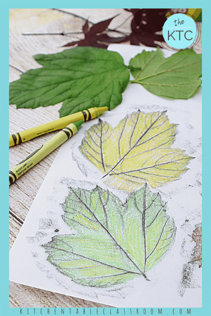 Two crayons in shades of green are shown beside some real leaves and two rubbings of leaves on paper.