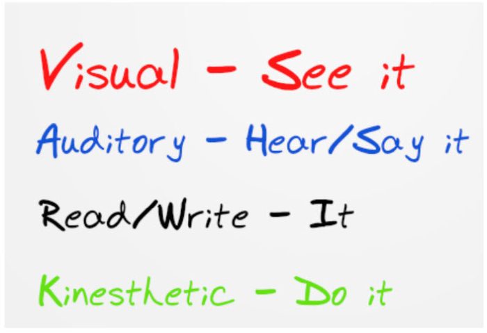 Visual-See It Auditory-Hear/Say It Read/Write-It Kinesthetic-Do It (Learning Styles)