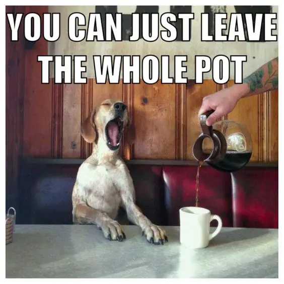 leave the whole pot coffee meme