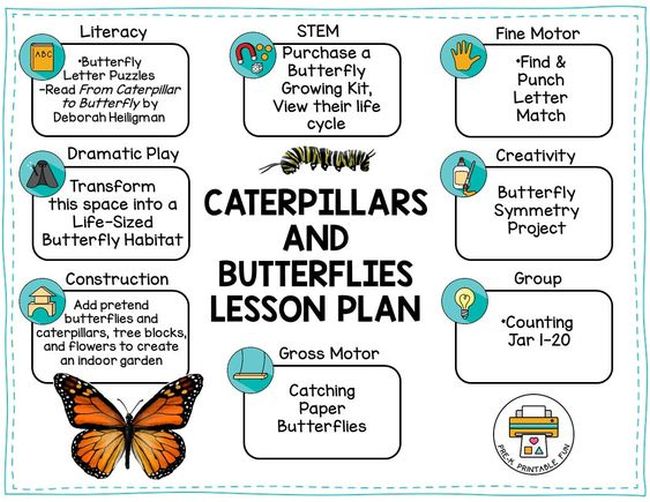 Construction, Definition, Types & Categories - Lesson