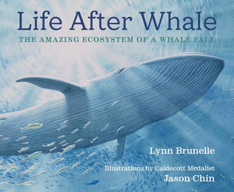 Life After Whale book cover