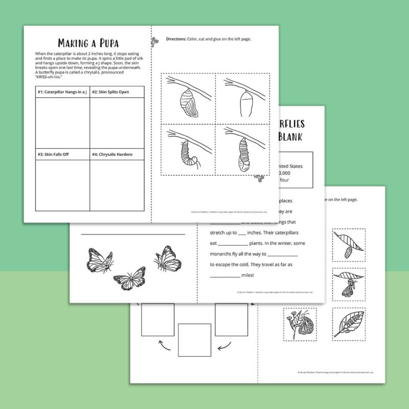 3 pages from the Life Cycle of a Butterfly free printable booklet