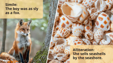 Literary devices examples including a fox as an example of simile ("The boy was as sly as a fox.") and seashells for alliteration ("She sells seashells by the seashore.").