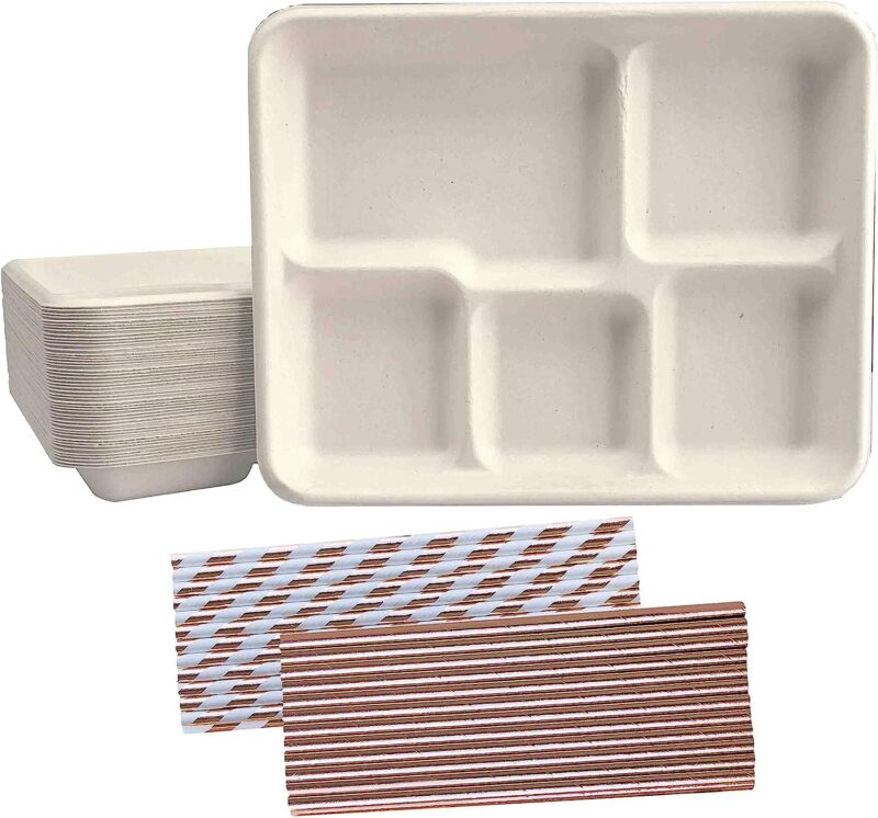 Outside the Box Papers disposable trays for lunch