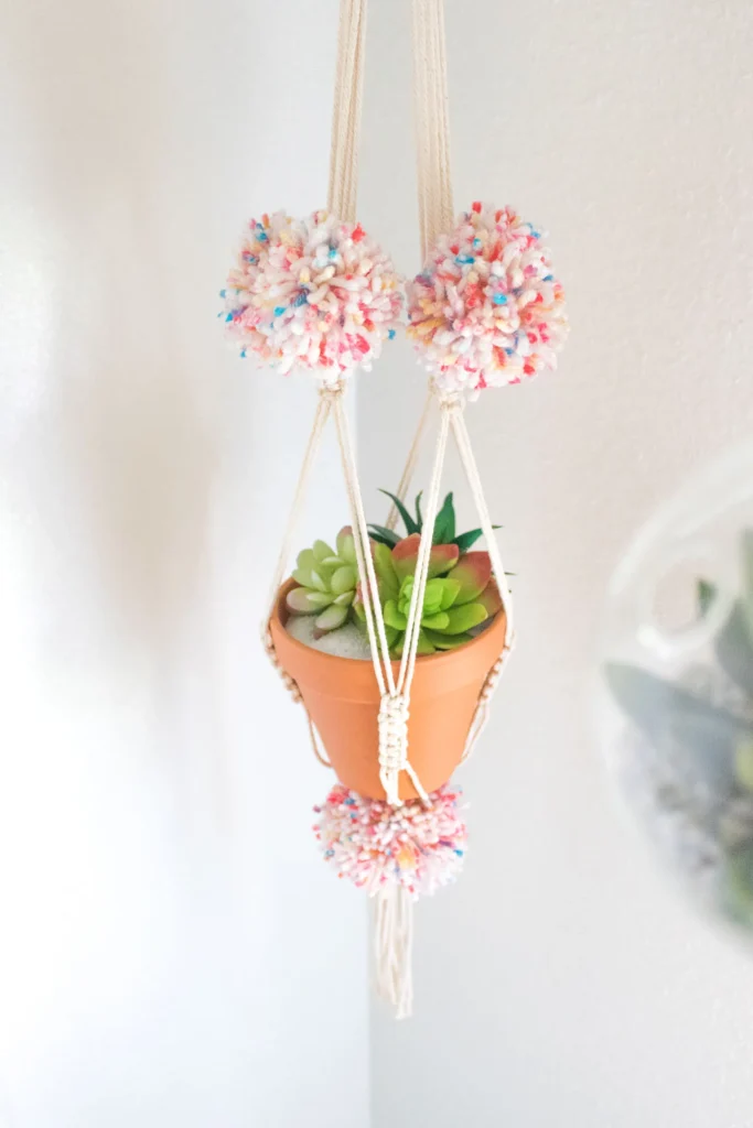 A small plant hangs suspended in a macrame hanger adorned with yarn pom pom balls