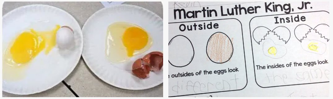 White egg and brown egg cracked open to show the insides, alongside a worksheet exploring the concept (Martin Luther King Activities)