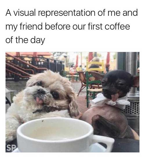 my friend and I before coffee meme