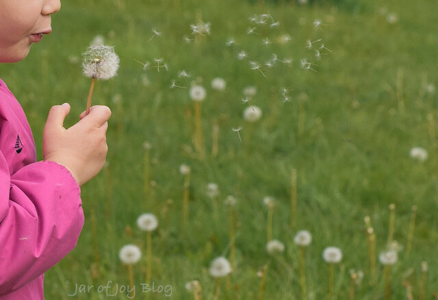 girl blowing flowers in a field for memorial day 