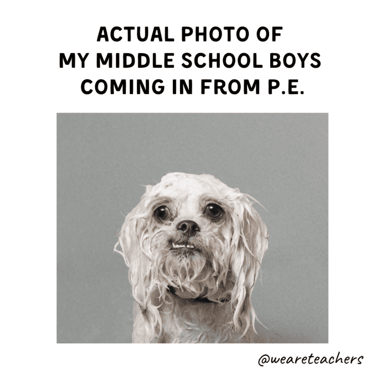 19 Memes Capturing the Reality of Teaching Middle School