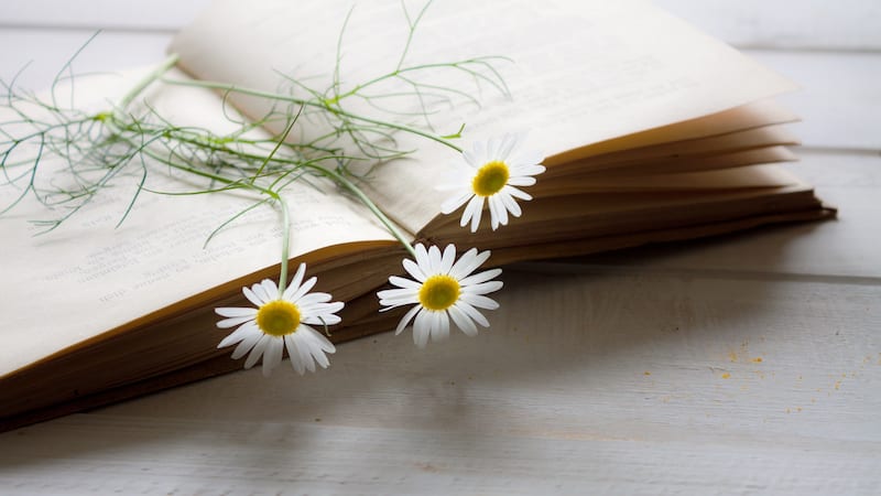 Book with pressed flowers -- poems for middle school