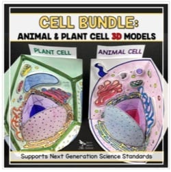 "cell bundle: animal and plant cell 3d models" by Nitty Gritty Science