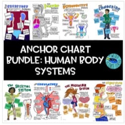 "anchor chart bundle: human body systems" by The Weird Science Teacher