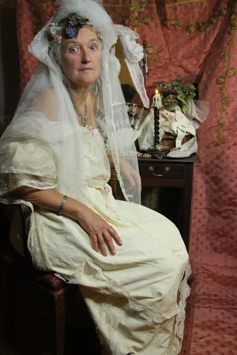 Teacher halloween costumes can be literary like the old woman shown here in a wedding dress who is supposed to be Miss Havisham from Great Expectations.