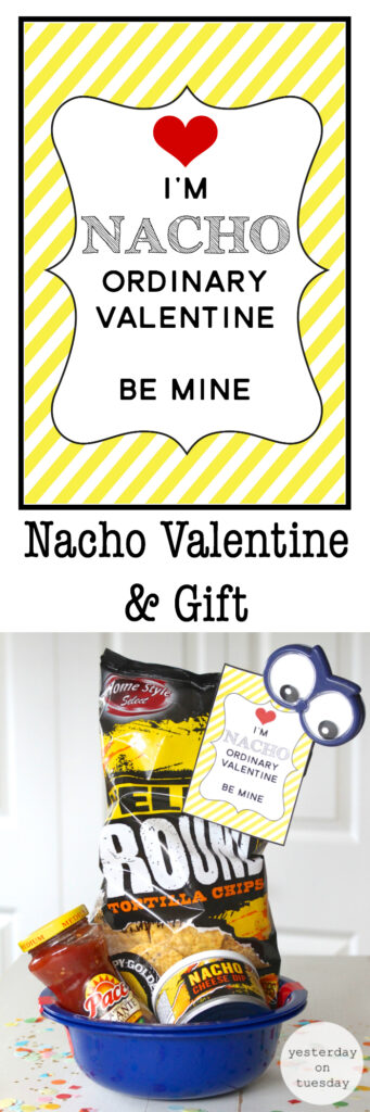 nacho average valentine pack with chips and salsa