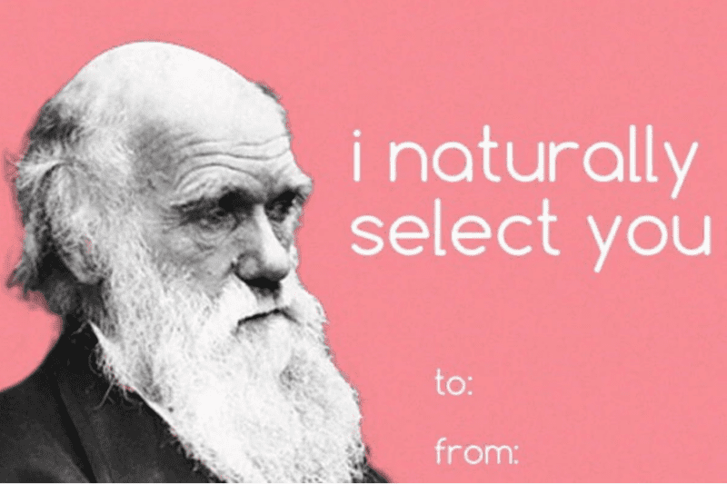 natural selection Valentine's Day Meme