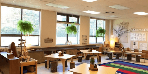 Classroom with hanging plants from the ceiling