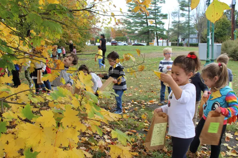 Preschool children gathering fall leaves in paper bags outdoors, as an example of social-emotional activities