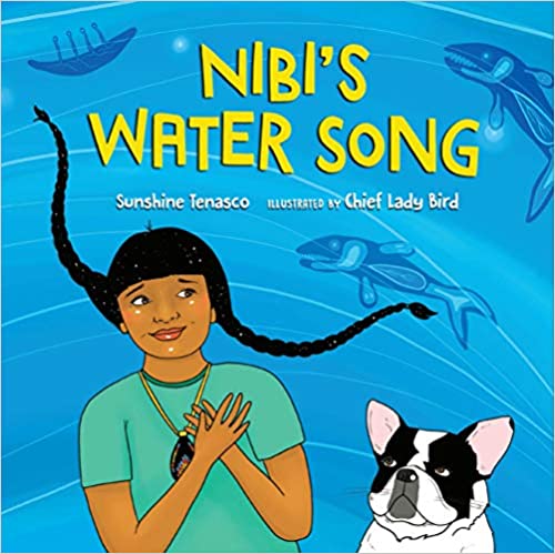 Book cover for Nibi's Water Song