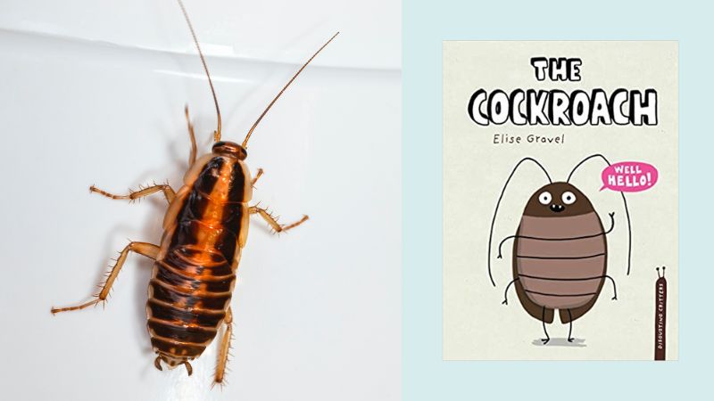 Cockroach and book cover for Cockroach (Disgusting Critters)