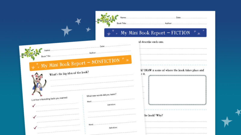 My mini book report worksheets for fiction and nonfiction
