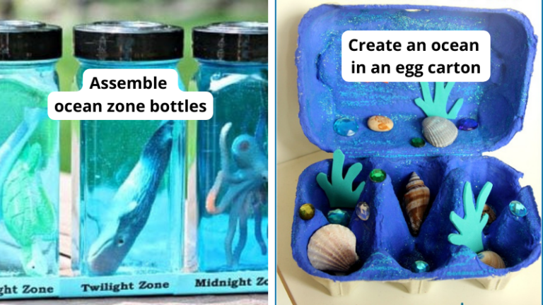Examples of ocean activities, including assembling ocean zone bottles and creating an ocean using egg cartons.