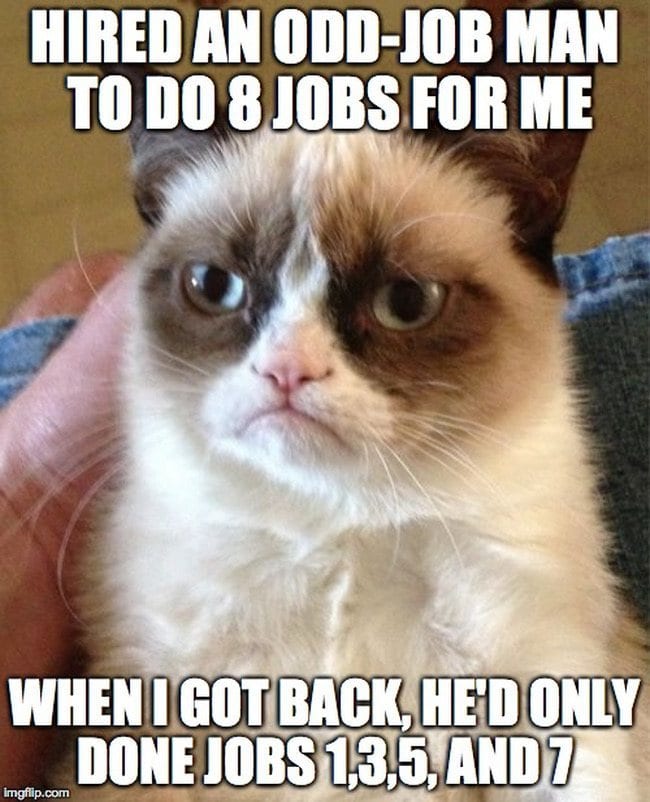 Cat meme about odd job.
