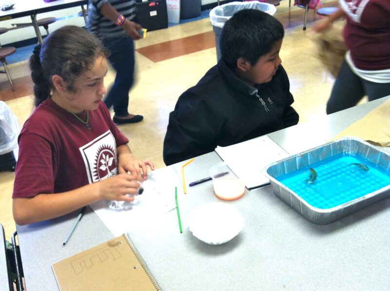 Students sit around a table that has a tin pan filled with blue liquid wiht a feather floating in it (easy science experiments)