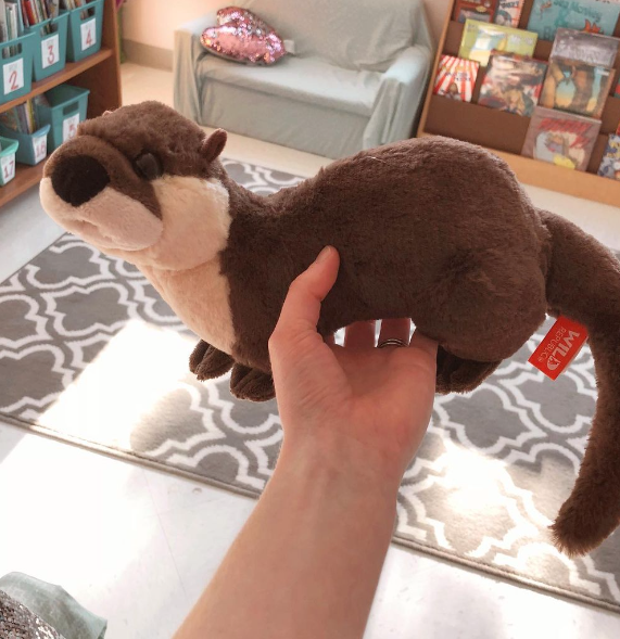 A hand holds a stuffed otter as an example of best classroom pets 