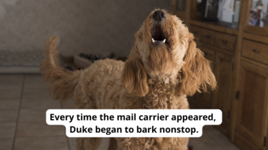 Photo of a barking dog. Text reads Every time the mail carrier appeared, Duke began to bark nonstop, an example of onomatopoeia.