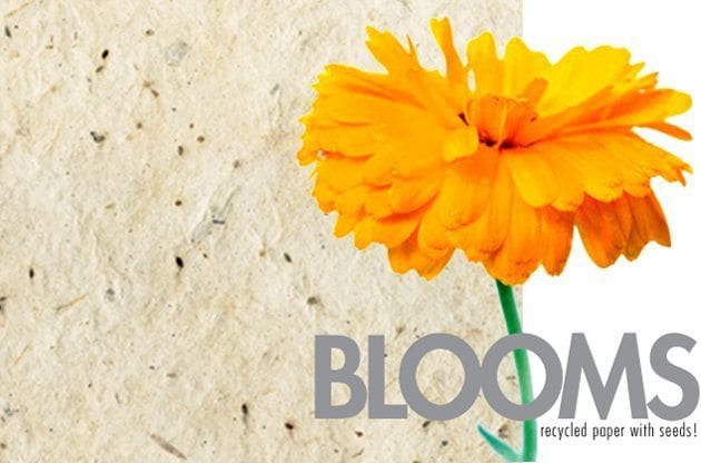 An orange flower is shown and text reads BLooms recycled paper with seeds!