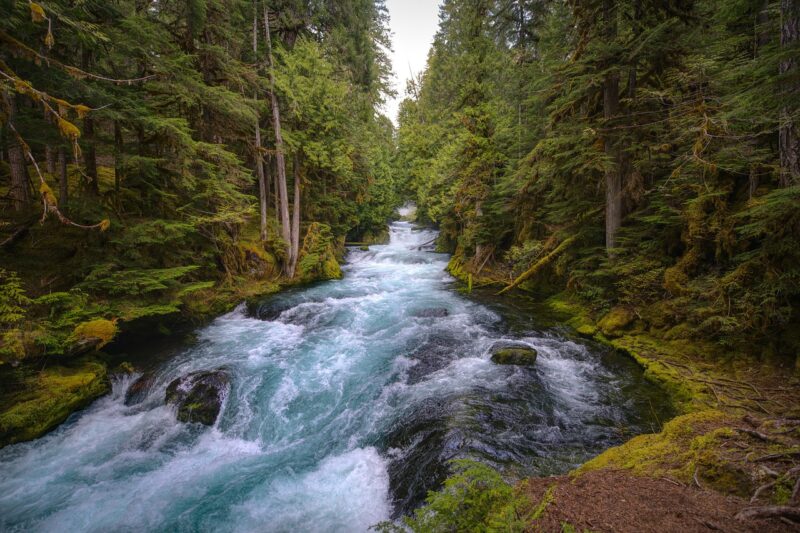 Rapids in river in Oregon, a state with a high average teaching salary.
