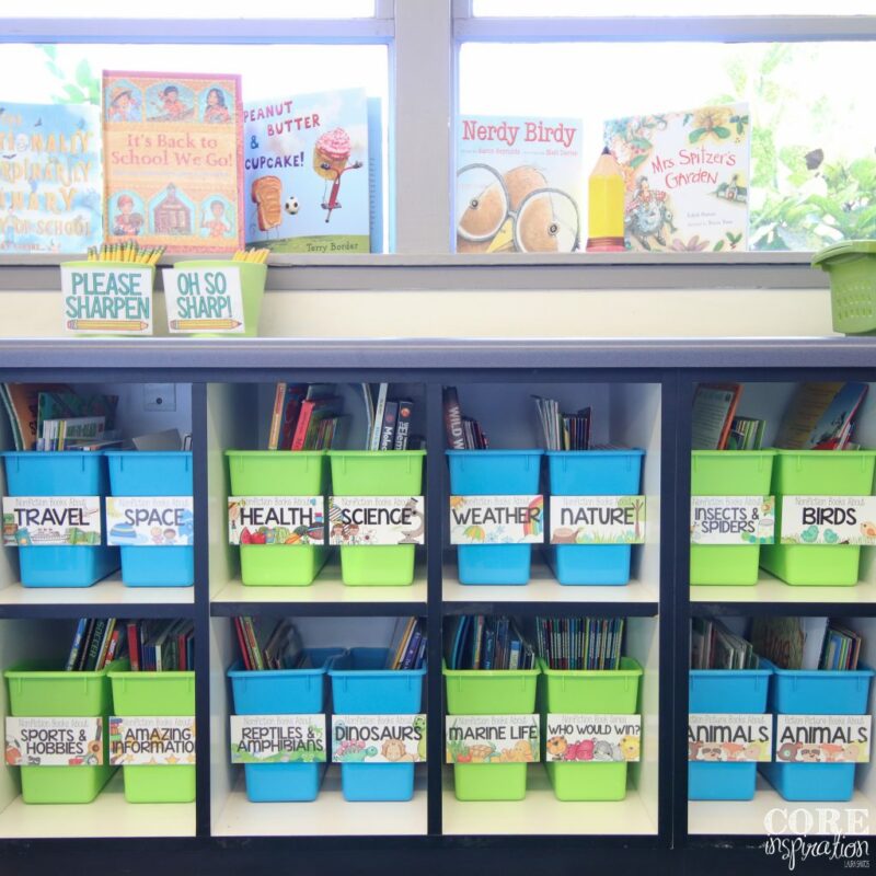 classroom library with colorful bins full of books