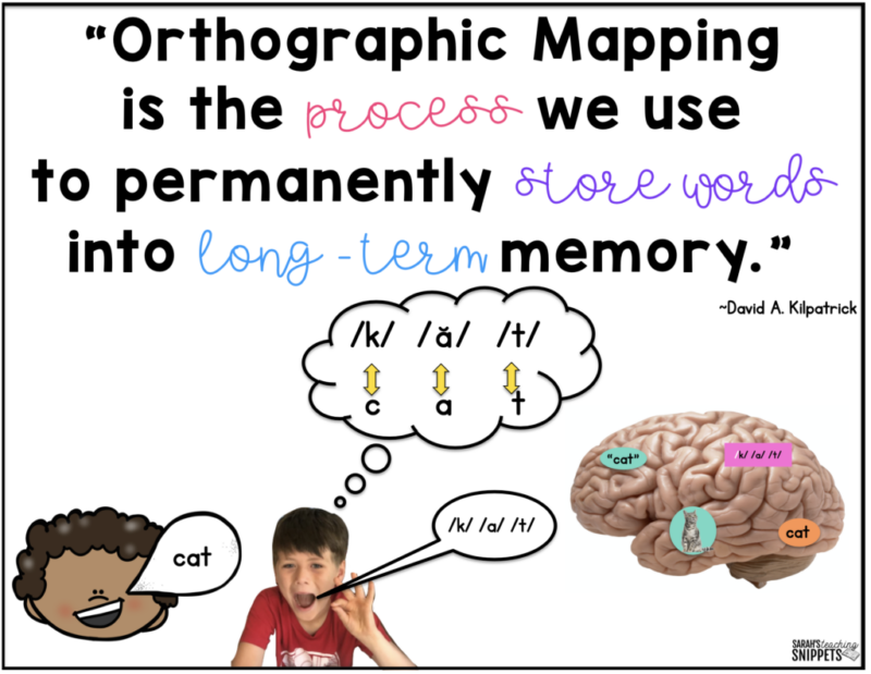 Infographic showing the spoken word cat, child saying the three sounds in cat, and an image of the brain with the word and picture of a cat in it to define orthographic mapping