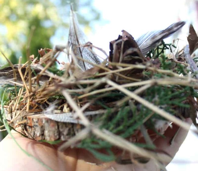 Outdoor science activities involve items from nature like this small nest built from sticks, yarn, feathers, and more