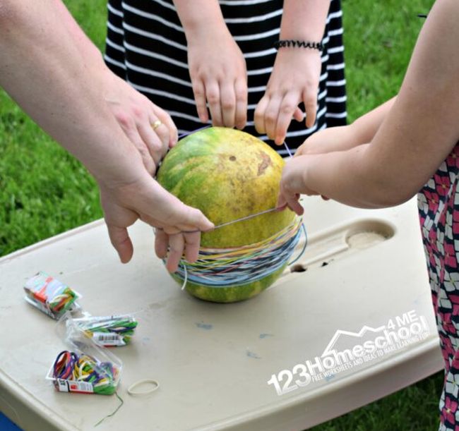 Outdoor science activities like this one pictured involve food. Students are seen wrapping rubber bands around a small watermelon 