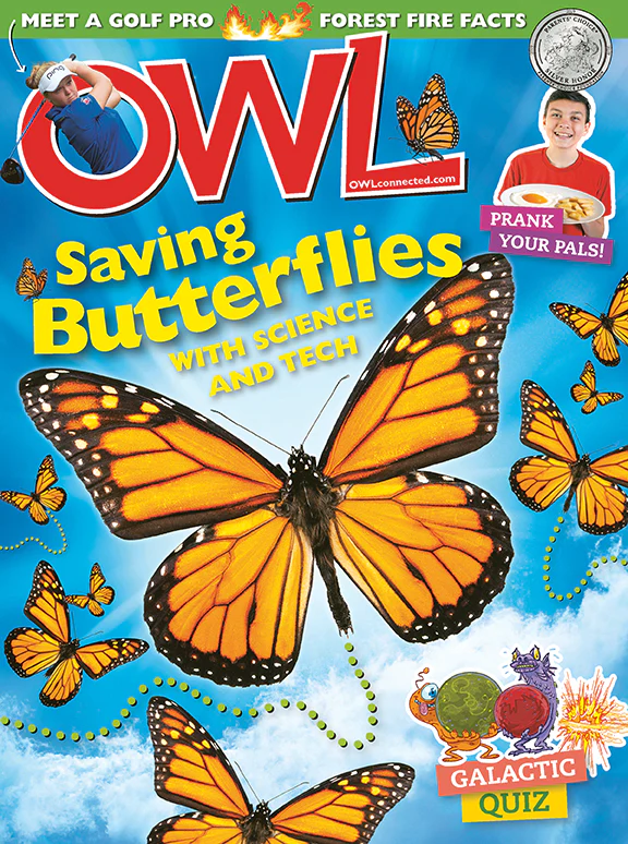 Sample issue of Owl magazine