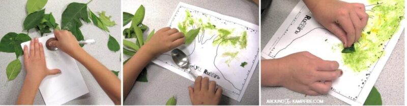a trio of pictures showing a student creating art by rubbing chlorophyll from leaves (Plant Life Cycle Activities)