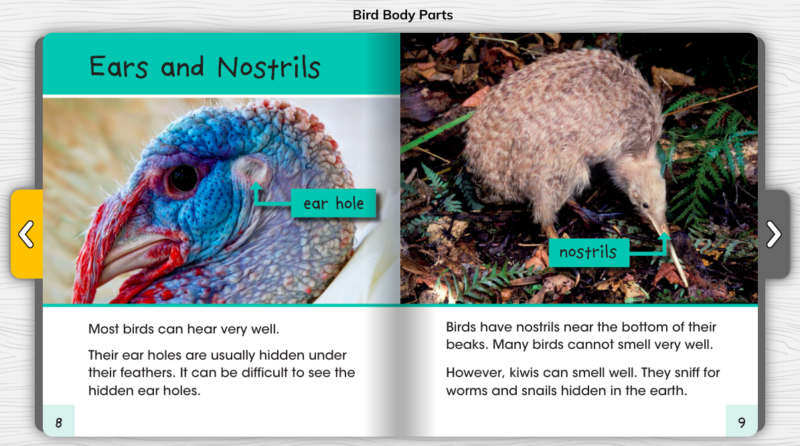 Page from Bird Body Parts about Ears and Nostrils as an example of labels as nonfiction text features